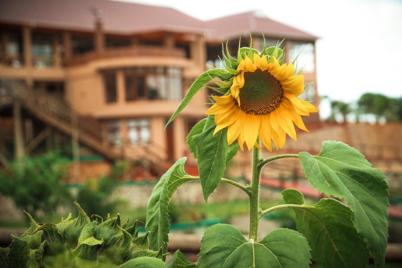 קראטו Ngorongoro Marera Mountain View Lodge מראה חיצוני תמונה