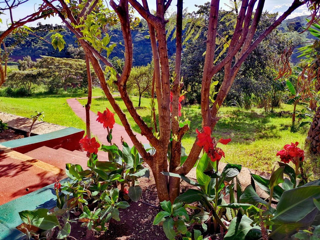 קראטו Ngorongoro Marera Mountain View Lodge מראה חיצוני תמונה