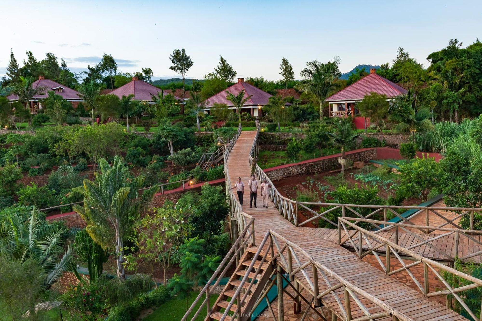 קראטו Ngorongoro Marera Mountain View Lodge מראה חיצוני תמונה